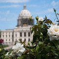minneapolis-st_paul_13_capitol.jpg