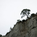 Bluffs_07.jpg