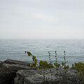Bluffs_10.jpg